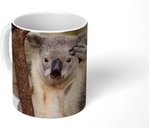 Mok - Koala - Takken - Dier - 350 ML - Beker