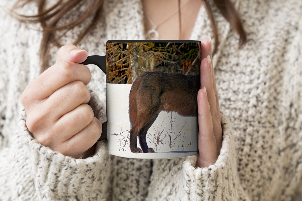 Magische Mok - Foto op Warmte Mokken - Koffiemok - Wolf - Zwart - Sneeuw - Magic Mok - Beker - 350 ML - Theemok