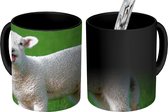 Magische Mok - Foto op Warmte Mok - Mekkerend lammetje in het groene gras - 350 ML