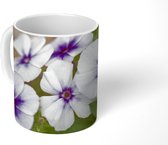 Mok - Close-up van paarse vlambloemen die in een bloembed groeien - 350 ML - Beker