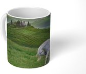 Mok - Paarden - Mist - Landschap - Toscane - 350 ML - Beker