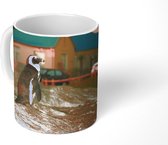 Mok - Pinguïn op de rotsen van Boulders Beach bij zonsondergang - 350 ML - Beker