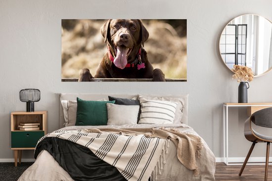 Poster Labrador Retriever regardant par-dessus une clôture - 150x75 cm