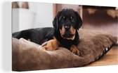 Canvas Schilderij Rottweiler pup ligt op een zacht kussen - 80x40 cm - Wanddecoratie