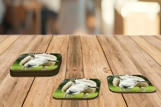 Sous- Sous-verres pour verres - Mouton - Drôle - Pâturage - 10x10 cm - 6 pièces