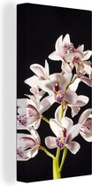 Canvas schilderij 80x160 cm - Wanddecoratie Een witte orchidee tegen een zwarte achtergrond - Muurdecoratie woonkamer - Slaapkamer decoratie - Kamer accessoires - Schilderijen
