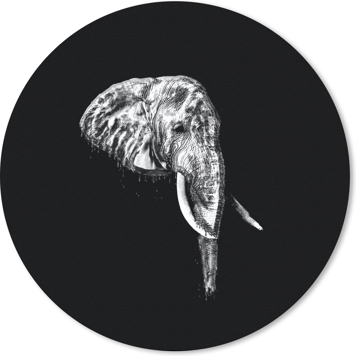 Muismat rond 20x20 cm - Mousepad Olifant - Tanden - Zwart - Wit - Ronde muismatten