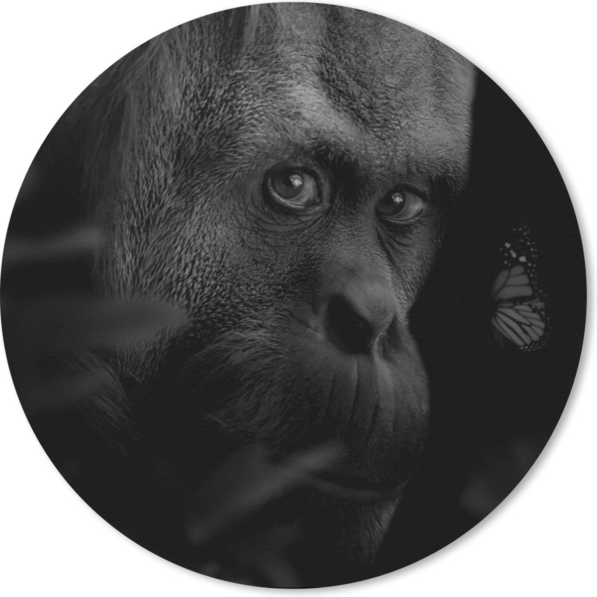 Muismat rond 30x30 cm - Mousepad Dieren - Aap - Natuur - Zwart - Wit - Ronde muismatten