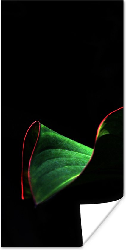 Poster Een tropisch blad met rode randen op een zwarte achtergrond - 20x40 cm