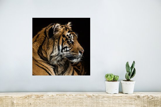 Affiche Tigre - Tête d'Animal - Zwart - 30x30 cm