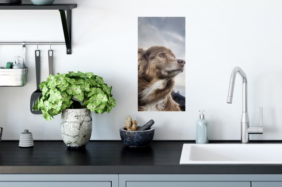 Affiche Chien qui regarde fixement - 20x40 cm