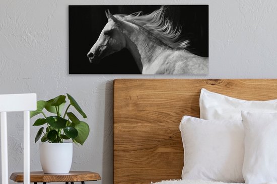 Tableau sur Toile Paarden - Animal de la Ferme - Crinière - 40x20 cm - Décoration murale