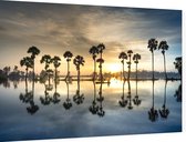Zon komt op achter de palmen - Foto op Dibond - 90 x 60 cm