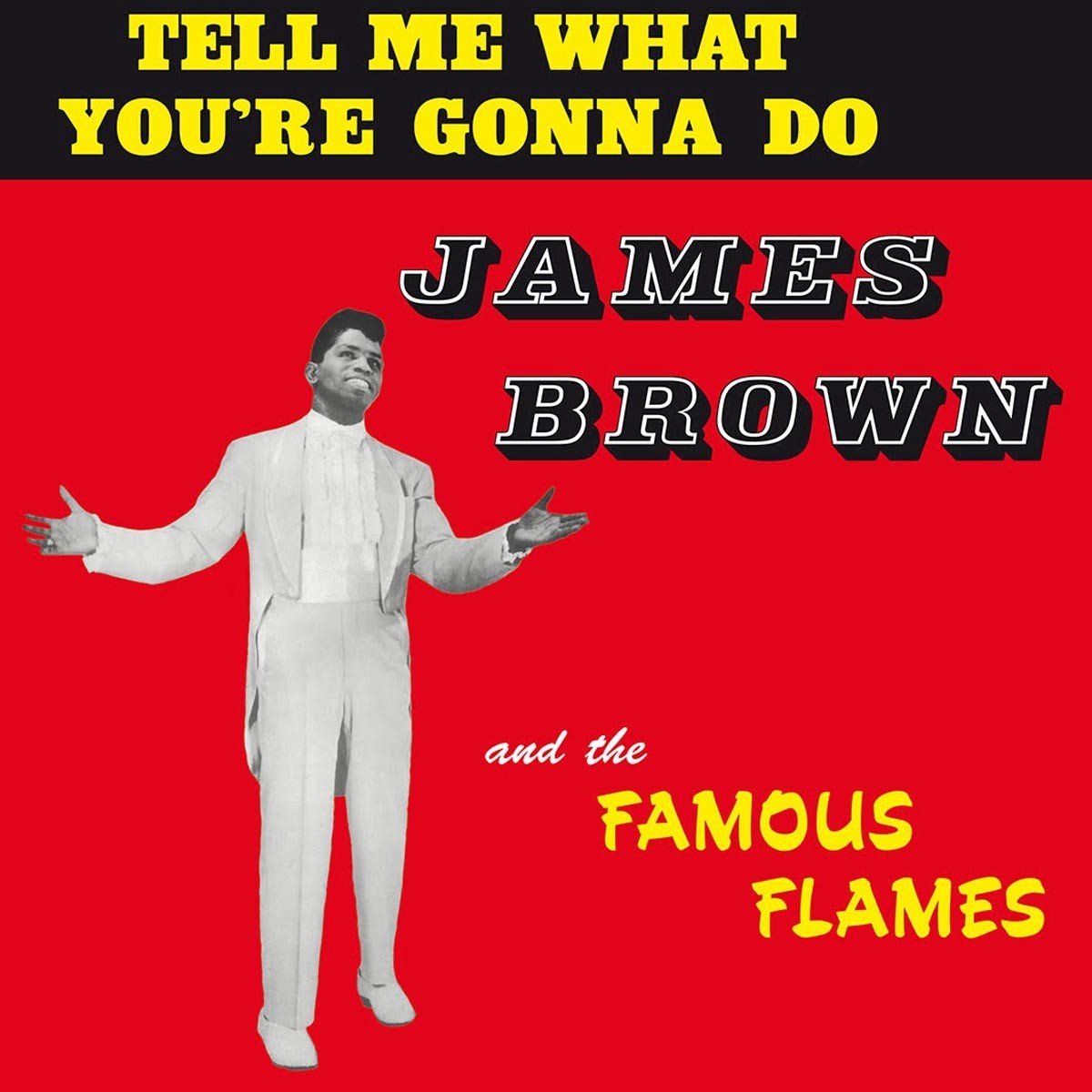 Tell Me What You're Gonna Do (LP)