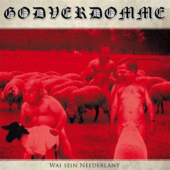 Godverdomme (Tim Steinford) - Wai Sein Neederland (LP)