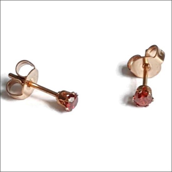 Aramat jewels ® - Zweerknopjes rond zirkonia rosékleurig rood staal 3mm