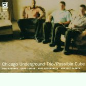 Chicago Underground Trio - Possible Cube (CD)