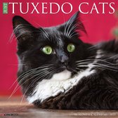 Tuxedo Cats Kalender 2022