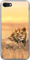 Geschikt voor iPhone SE 2020 hoesje - Leeuwen - Gras - Lucht - Siliconen Telefoonhoesje