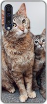 Geschikt voor Samsung Galaxy A50 hoesje - Kat - Kittens - Vacht - Siliconen Telefoonhoesje