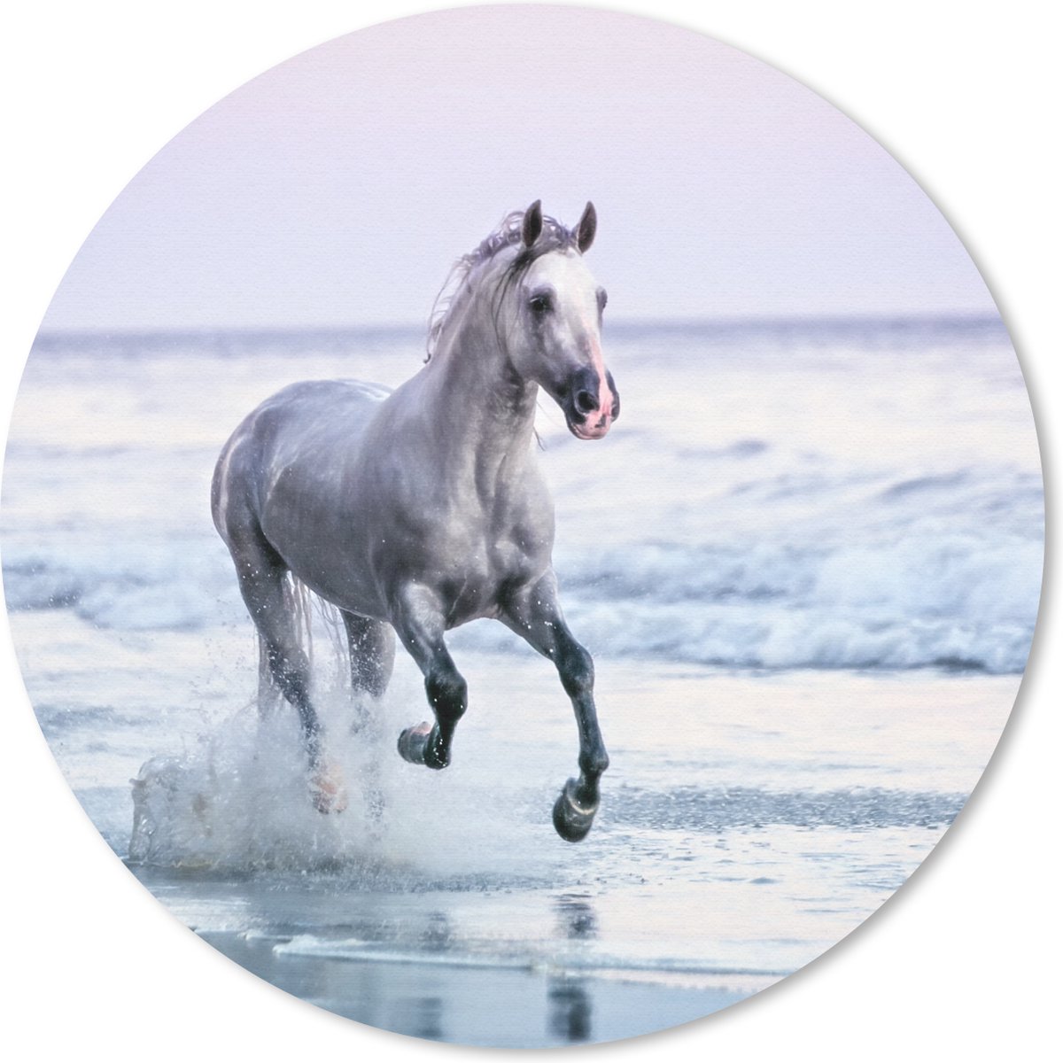 Muismat rond 20x20 cm - Mousepad Paard - Schimmel - Strand - Ronde muismatten