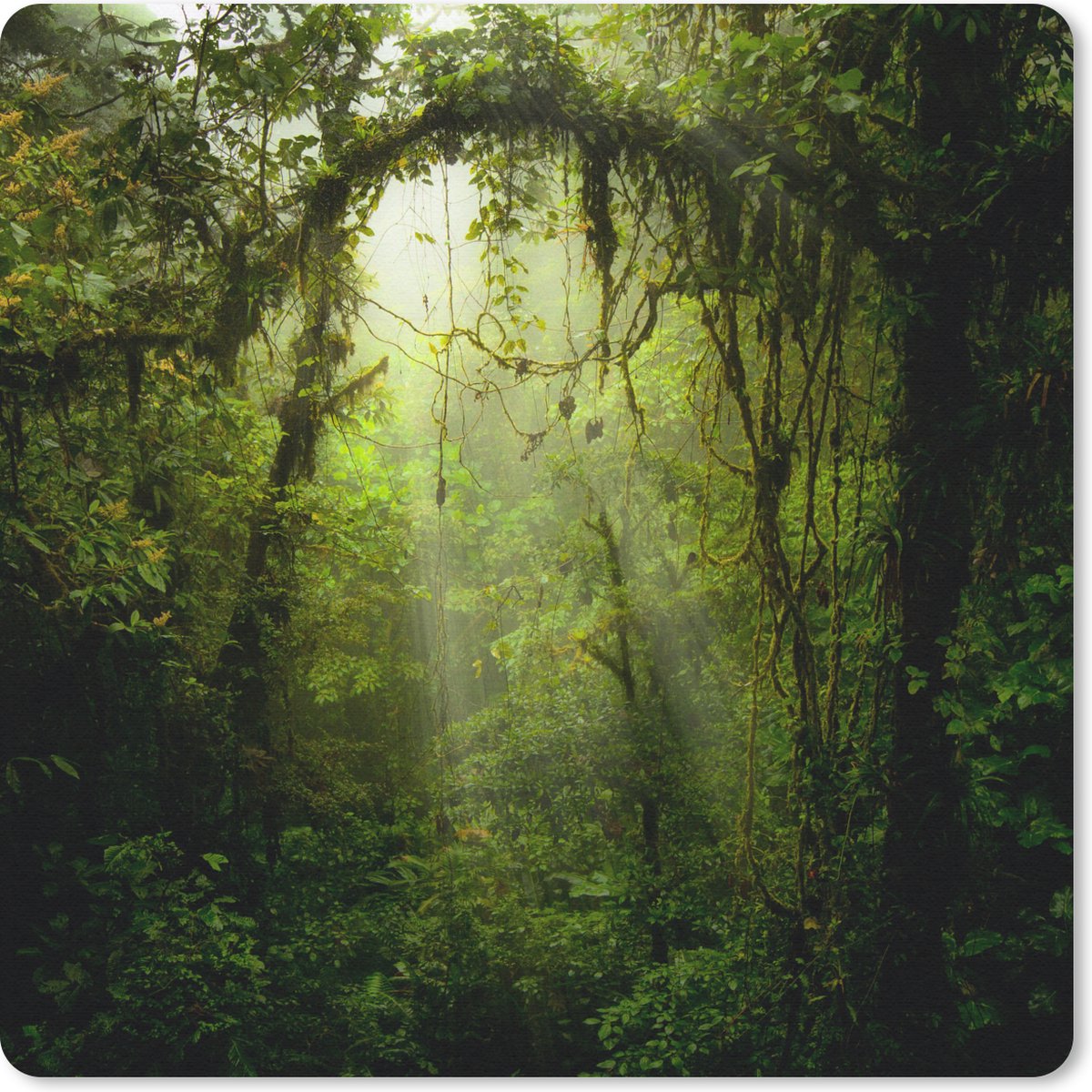 Muismat 30x30 cm - Mousepad Zonnestralen glippen door het tropische bladerdak - Muismatten