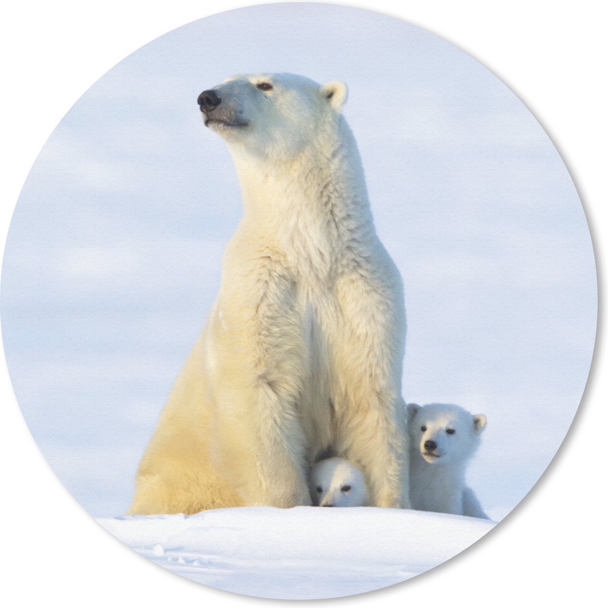 Muismat rond 30x30 cm - Mousepad IJsbeer - Sneeuw - Welpen - Ronde muismatten