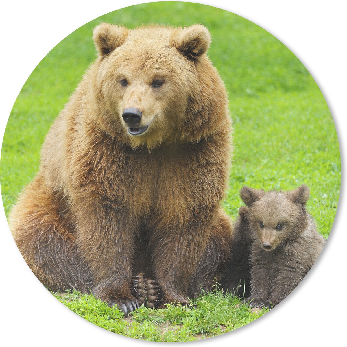 Muismat rond 20x20 cm - Mousepad Beer - Gras - Welp - Ronde muismatten