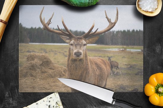 Planche à découper en Verres - 39x28 - Cerf - Bois - Nature - Planches à découper en Glas