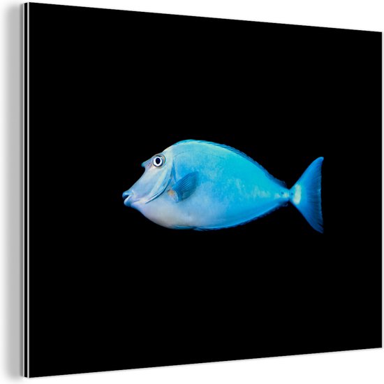 Wanddecoratie Metaal - Aluminium Schilderij Industrieel - Vis - Zeedieren - Zwart - 40x30 cm - Dibond - Foto op aluminium - Industriële muurdecoratie - Voor de woonkamer/slaapkamer