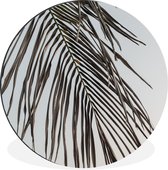 WallCircle - Peinture - Feuille D'été Palmier - Multicolore - 30 X 30 Cm