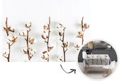 Tafelkleed - Tafellaken - 300x150 cm - Katoen - Wit - Natuur - Binnen en Buiten