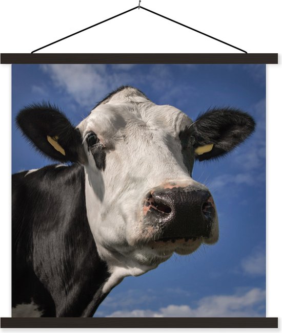 Kanon traagheid Maladroit Friese koe met een witte kop schoolplaat platte latten zwart 60x60 cm -  Foto print op... | bol.com