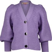 Vingino meiden vest Melly Soft Lilac