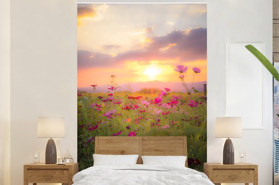 Champ de fleurs avec des fleurs roses sauvages au crépuscule 225x350 cm