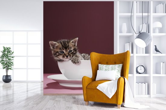 Papier peint photo vinyle - Un chaton dans une tasse avec une soucoupe largeur 190 cm x hauteur 260 cm - Tirage photo sur papier peint (disponible en 7 tailles)