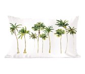 Jungle - Palmier - Vert