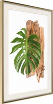 Poster Leafy Etude 20x30