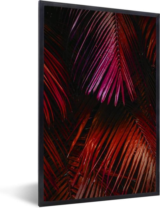 Cadre photo avec affiche - Jungle - Rouge - Feuilles - 40x60 cm - Cadre pour affiche