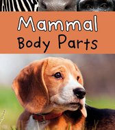 Animal Body Parts - Mammal Body Parts