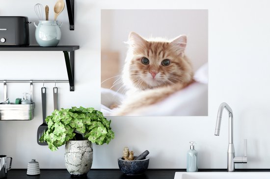 Poster Chat - Rouge - Lit - 50x50 cm