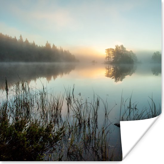 Poster Kalme morgen in het bos van Noorwegen