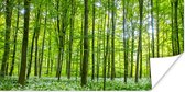 Affiche Forêt - Arbres - Vert - 160x80 cm