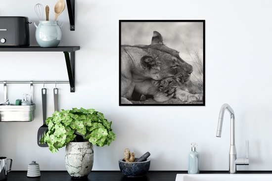 Cadre photo avec affiche - Lionne - Cub - Zwart - 40x40 cm - Cadre pour affiche