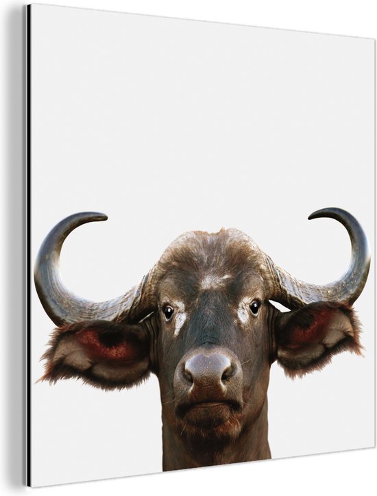 Décoration murale Métal - Peinture Aluminium Industrielle - Buffle - Buffle d'eau - Tête - Vache - Cornes - Garçons - Filles - 50x50 cm - Dibond - Photo sur aluminium - Décoration murale industrielle - Pour le salon / chambre