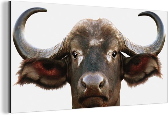 Décoration murale Métal - Peinture Aluminium - Buffle - Buffle d'eau - Tête - Vache - Cornes - Salon - Couloir - Chambre - 160x80 cm