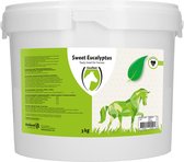 Sweet Blocks Mint/Eucalyptus - Paardensnoepjes - 3kg