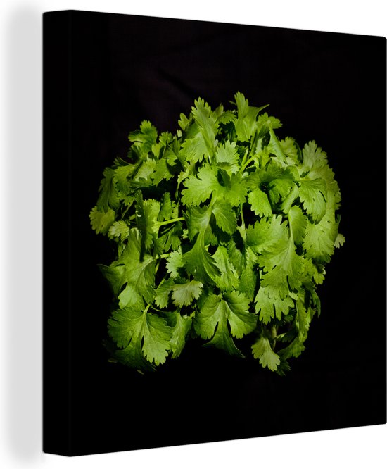 Canvas Schilderij Koriander en de felle groene kleur tegen een zwarte achtergrond - 20x20 cm - Wanddecoratie