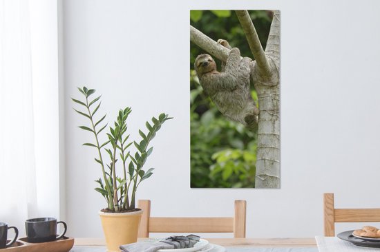 Peinture sur toile Un paresseux s'accroche à une branche - 40x80 cm - Décoration murale Art