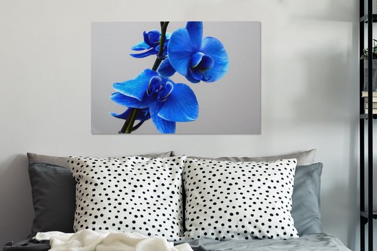 Tableau Peinture Orchidée Bleue - 90x60 cm - Décoration murale